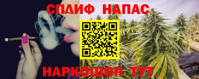индика Будённовск