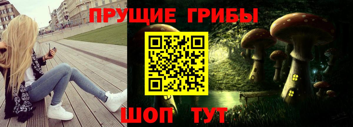 Галлюциногенные грибы мухоморы  Вход с VPN  Галлюциногенные грибы GOLDEN TEACHER  продажа наркотиков  Магадан 
