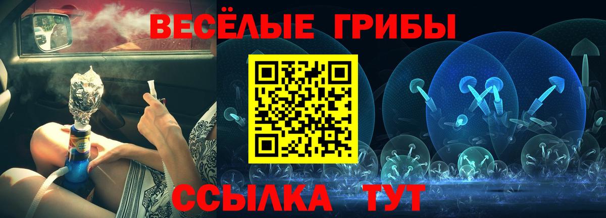 Галлюциногенные грибы Psilocybe Магадан